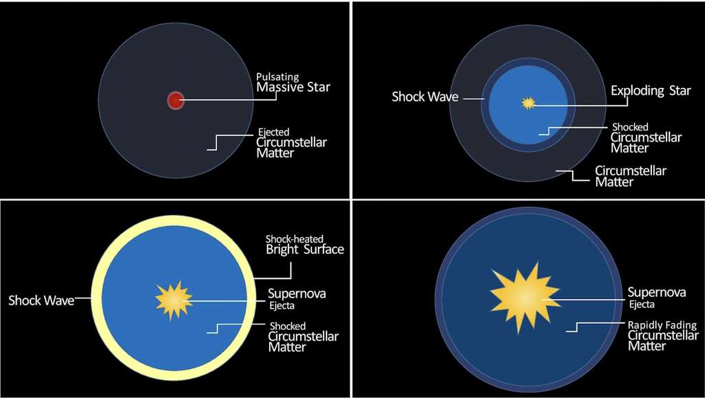 Schémas illustrant le modèle théorique des explosions de type FBOT proposé par les astrophysiciens. En haut à gauche, une étoile massive subit de grandes pulsations dues à la création de paires électron-positron et éjecte de la matière qui forme une enveloppe autour d'elle. En haut à droite, l'étoile finit par exploser en produisant une onde de choc qui se propage à travers la matière circumstellaire. En bas à gauche, lorsque l'onde de choc atteint la surface de la matière circumstellaire, l'énergie cinétique est convertie en énergie thermique et ensuite en rayonnement produit par la matière puissamment chauffée. Alors la surface de la matière circumstellaire brille très fort. La majeure partie de la matière éjectée par l'explosion de la supernova se propage à des vitesses plus modérées. En bas à droite, la matière circumstellaire se dilate et s'estompe rapidement alors que l'éjecta de la supernova se dilate et s'estompe également, la luminosité de l'astre a donc largement chuté et l'enveloppe circumstellaire étant nettement moins dense, la lumière produite par l'éjecta perce à travers l'enveloppe devenue nettement moins opaque qu'initialement. © Shing-Chi Leung, Kavli IPMU