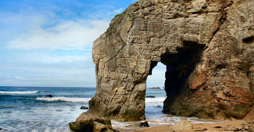 Tourisme dans le Morbihan : petite virée botanique | Dossier