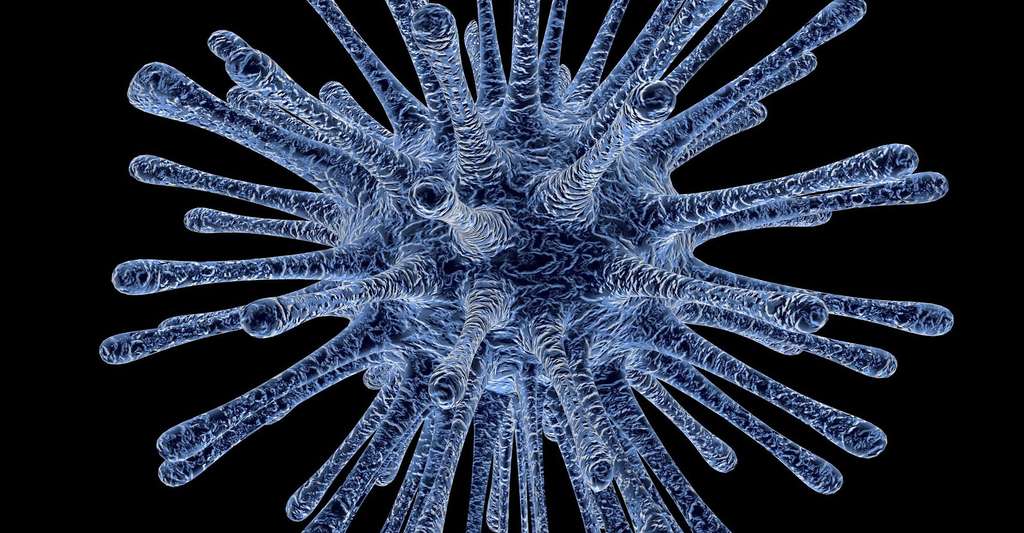 Cellules microgliales. © PublicDomainPictures CCO, Domaine public