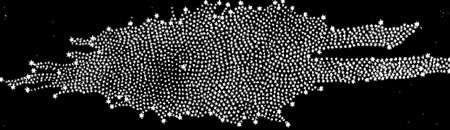 La Voie Lactée reconstruite par William Herschel en 1785 à partir de ces observations de 1997-1999 © Edward L. Wright