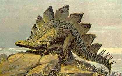 Comment le stégosaure faisait-il pour se reproduire ? Un problème épineux © Domaine public