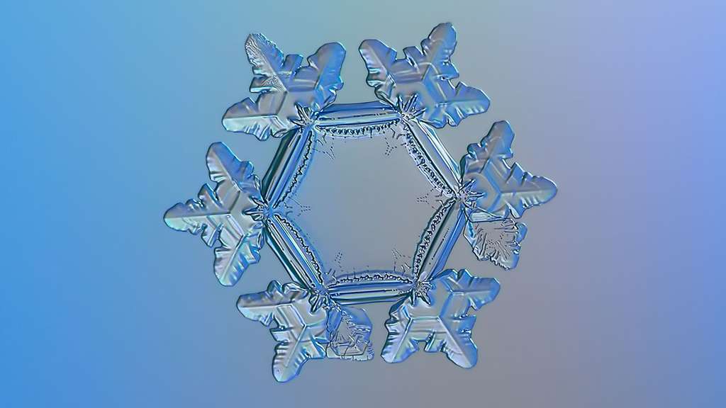 Un flocon de neige aux allures de tournesol Un flocon de neige aux allures de tournesol