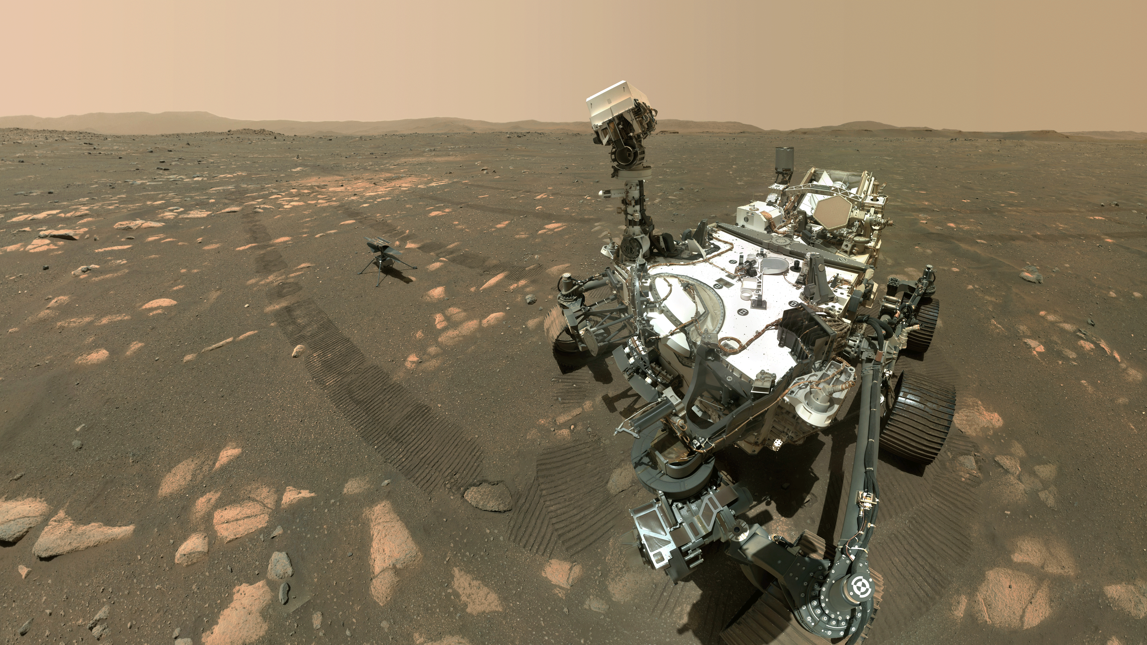 6 avril 2021, Sol 46 (46e jour martien) : Perseverance pose avec Ingenuity. Dans un plan, le rover regarde la caméra et dans l'autre, la machine dont il a accouché. © Nasa, JPL-Caltech, MSSS