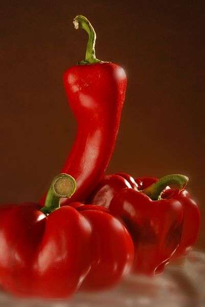 La capsaïcine, la molécule des poivrons et piments La capsaïcine, la molécule des poivrons et piments