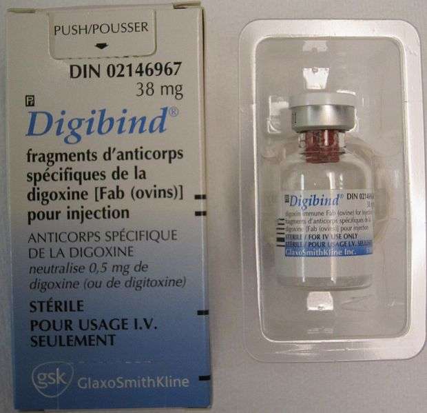 Flacon de Digibind. Il s’agit d’un antidote à la digitaline. © James Heilman, MD, CC by-sa 3.0