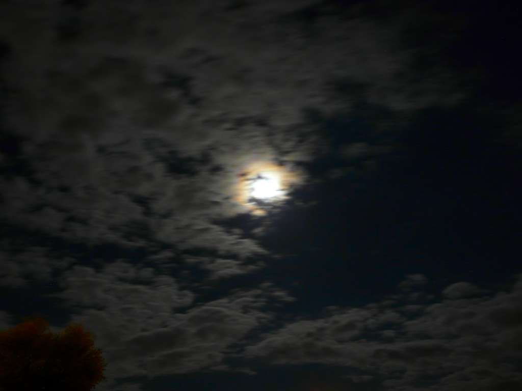Photo d'un halo lunaire Photo d'un halo lunaire