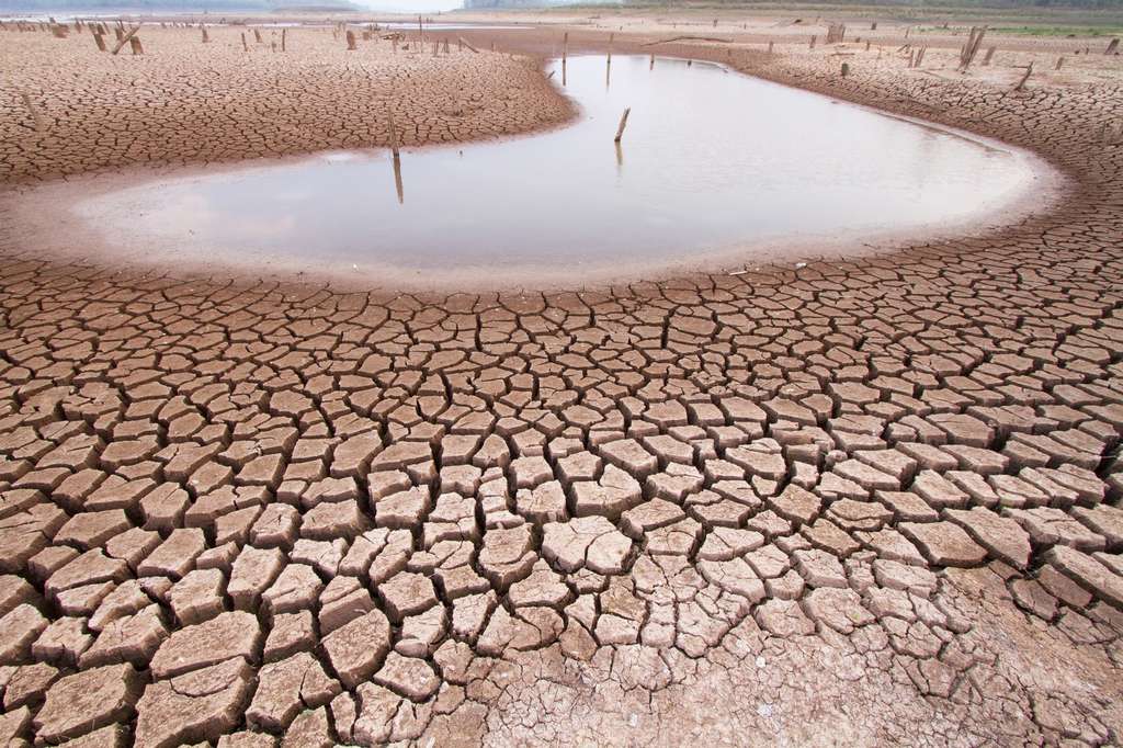 Les événements de méga-sécheresse ne font que commencer et obligent à réévaluer notre gestion de l'eau. © piyaset, Fotolia
