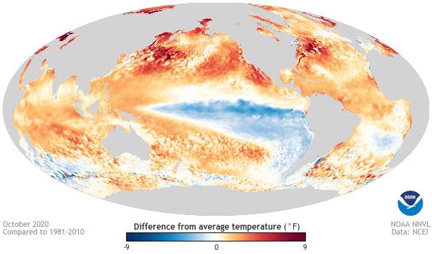 En rouge et bleu, les anomalies de températures dans les océans. On repère La Nina à la bande bleue, donc plus froide que la normale, dans l'océan Pacifique. © Noaa 