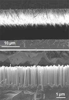 Les éléments du capteur hybride. En haut, un capteur solaire et en bas un nanogénérateur. Les deux comportent des nanofibres d'oxyde de zinc et seront installés sur le même support de silicium. © Xudong Wang Les éléments du capteur hybride. En haut, un capteur solaire et en bas un nanogénérateur. Les deux comportent des nanofibres d'oxyde de zinc et seront installés sur le même support de silicium. © Xudong Wang
