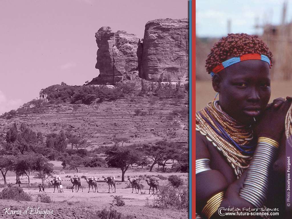 Karos d'Ethiopie Karos d'Ethiopie