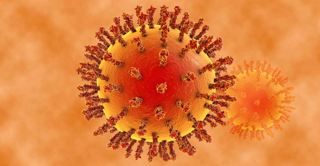 Virus de la grippe. © Kateryna Kon, Shutterstock