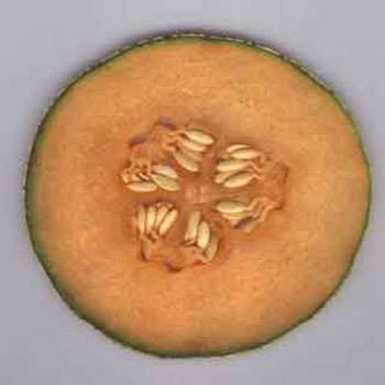 Coupe transversale d'un melon. Les graines sont attachées en trois groupes sur la périphérie du fruit. Chaque groupe est contenu dans une loge. Les trois loges sont séparées par une paroi interlobulaire. © B.Media, DR