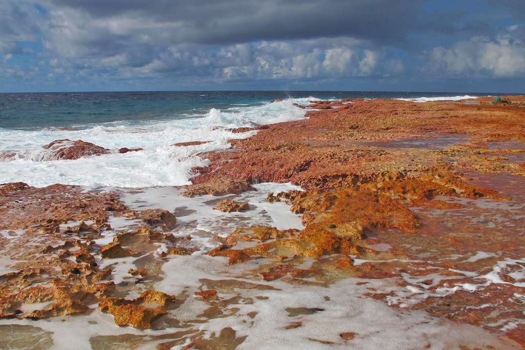 Récif de corail côté océan à Makemo Récif de corail côté océan à Makemo