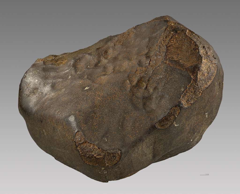 La météorite de Saint-Sauveur est une chondrite de 14 kg tombée le 10 juillet 1914 dans un champ près du village du même nom, en Haute-Garonne. Elle présente une croûte de fusion devenue brune par oxydation et quelques creux dits de « regmaglyptes ». © Didier Descouens, Wikimedia Commons, CC by-sa 4.0