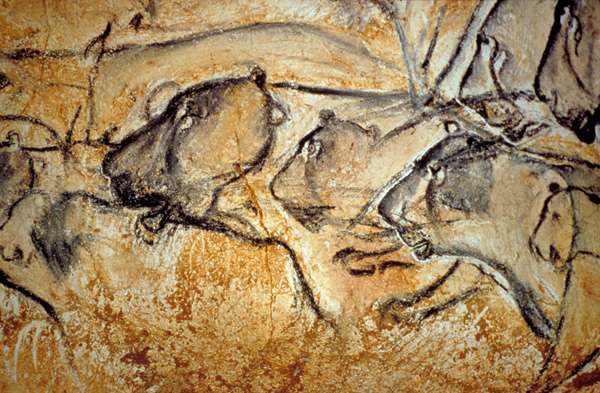 L'une des multiples scènes peintes sur les parois de la grotte de Chauvet-Pont d'Arc : des grands lions des cavernes à la chasse. © DRAC Rhône-Alpes/Ministère de la Culture et de la communication