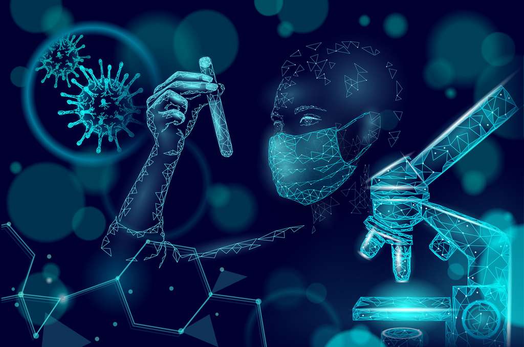 Le virus NeoCoV, s'il se transmettait à l'Homme pourrait être très dangereux. © A, Adobe Stock