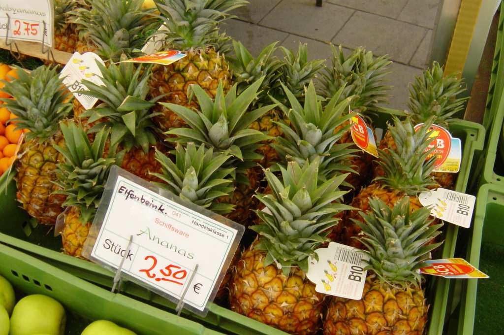 Définition | Ananas - Ananas comosus | Futura Planète