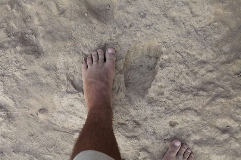 Une comparaison entre un pieds d'Homo sapiens de nos jours avec une empreinte laissée au Kenya par Homo erectus il y a 1,5 million d'années ne permet pas de trouver de différences entre les pieds des deux hominines. © Kevin Hatala 