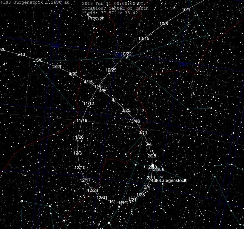 Trajectoire de l'astéroïde 4388 Jürgenstock dans le ciel entre le 10 janvier et le 20 mai 2019. Il devrait passer devant Sirius dans la nuit du 18 au 19 février. © Tomruen, Wikimedia Commons, CC By-SA 4.0
