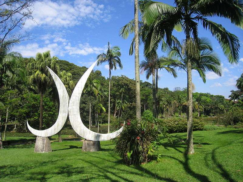Le jardin botanique de São Paulo, au Brésil Le jardin botanique de São Paulo, au Brésil