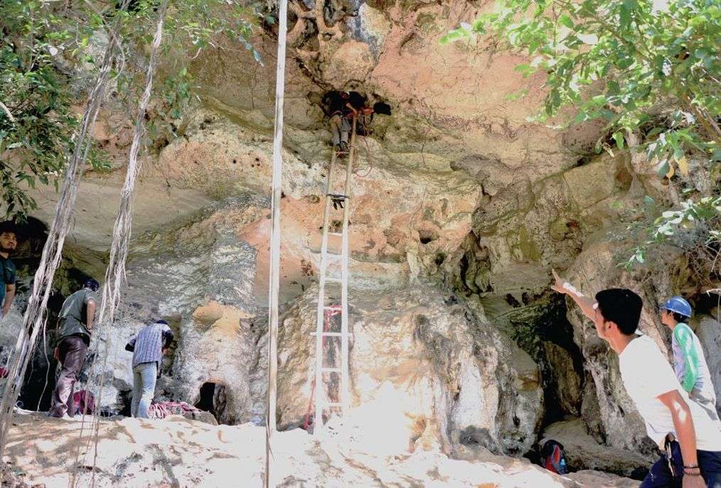 Le panneau dessiné se situe dans une annexe de la grotte principale, accessible par une échelle ou une corde depuis son plancher. © Maxime Aubert et al. Nature, 2019