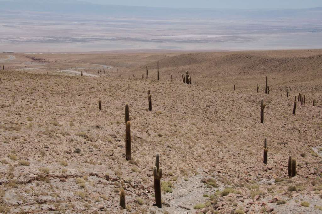 Le désert du Chili à perte de vue Le désert du Chili à perte de vue