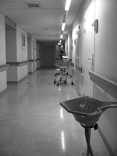 Alors que le décès de la patiente à Bordeaux fait suite à une infection par une souche E. coli O145, six des sept autres patients hospitalisés sont contaminés par une souche E. coli O104. © Frenkieb, Flickr CC by 2.0