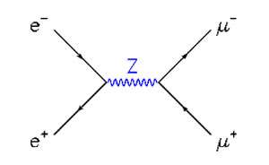 Fig. 16 : annihilation d'une paire électron positron en paire muon anti-muon, par le chemin le plus probable en théorie quantique (i.e. donné par l'ordre le plus bas du développement en perturbations de la théorie) : l'état intermédiaire est un Z.