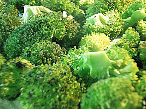 Ce sont les lymphocytes intraépithéliaux des légumes verts qui permettent aux cellules immunitaires de l'intestin et de la peau de bien fonctionner. © bloggyboulga, Flickr CC by 2.0 