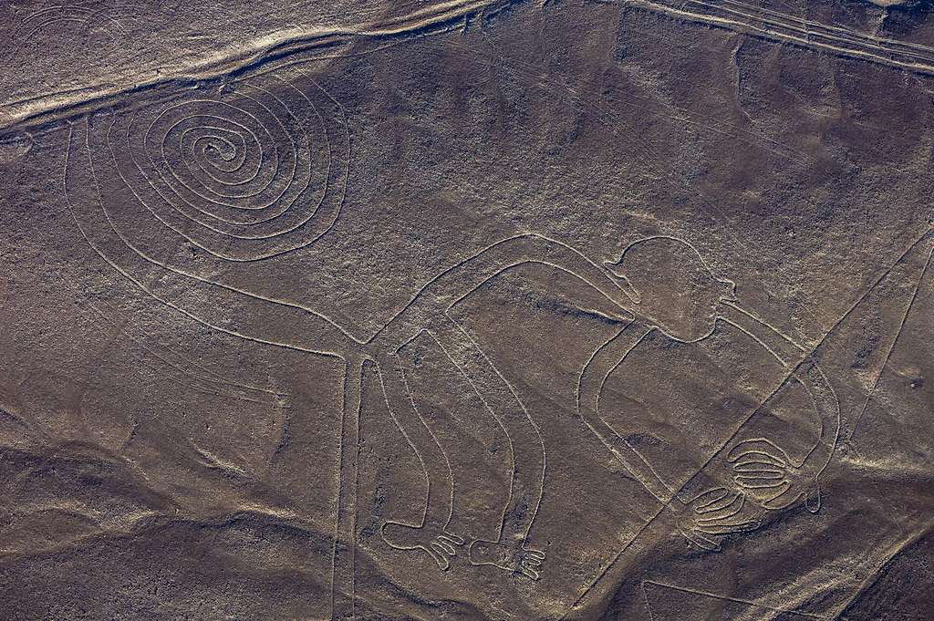 Le Singe de Nazca