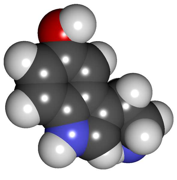 Les causes biologiques de la dépression : dérèglement de 