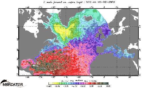 Cliquez pour agrandir. Fig. : 12 - Prévision par Mercator-Océan de la hauteur de l'océan dans l'Atlantique Nord faite le 25 Janvier pour le 8 février 2006. Il y a une différence de 1.7 mètre entre le point haut(du mauve au noir) de la Mer des Sargasses, autour duquel tourne le Gulf Stream, et le point bas(en jaune) auquel est associé le courant du Labrador.