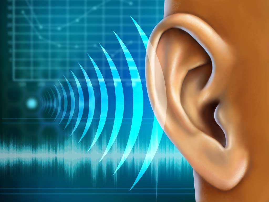 Un bruit très puissant est dangereux pour les oreilles. © Andrea Danti, Shutterstock