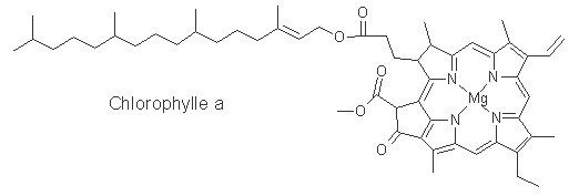 Chlorophylle A