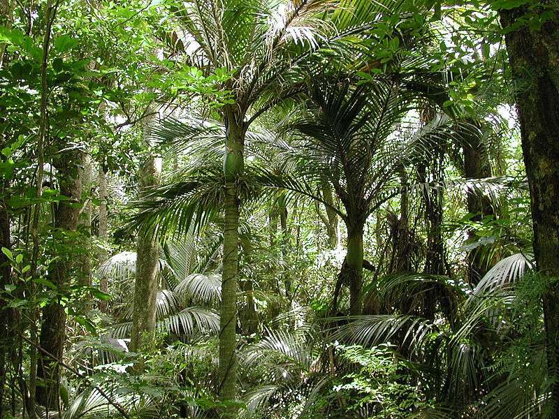 Nouvelle Zélande : Réserve Paraparaumu Nouvelle Zélande : Réserve Paraparaumu
