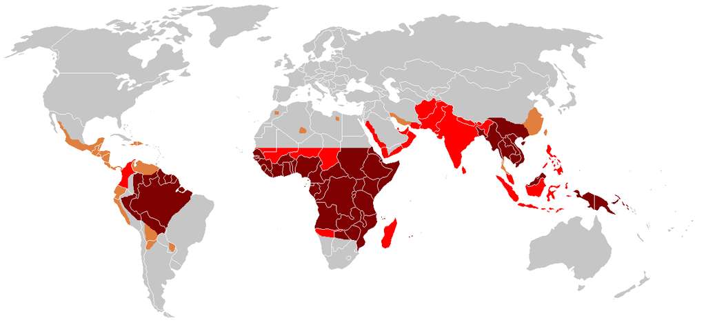 Régions du monde où le paludisme est endémique. © Percherie, Wikimedia Commons, CC by-sa 3.0
