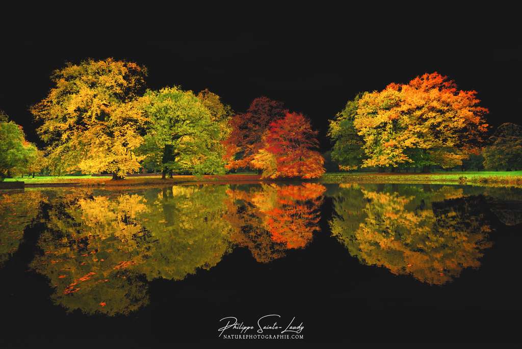 Le ciel noir de l'automne Le ciel noir de l'automne
