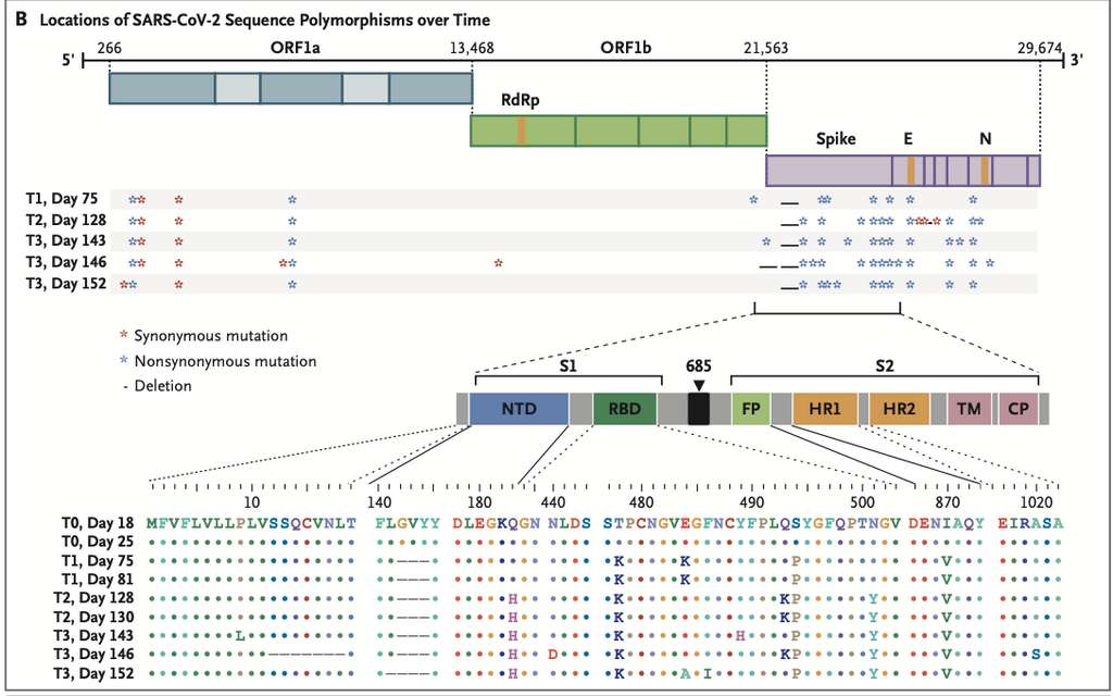 L'évolution des mutations du SARS-CoV-2 chez un patient immunodéprimé. © New England Journal Of Medicine 