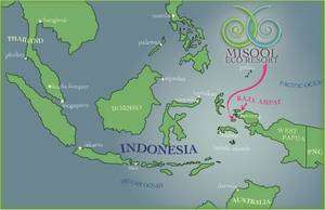 La Papouasie occidentale occupe l'ouest d'une grande île partagée avec la Papouasie-Nouvelle Guinée (à droite sur l'image). A l'est s'étend l'Indonésie avec l'archipel de Sulawesi et Bornéo. Crédit : Misool Eco Resort