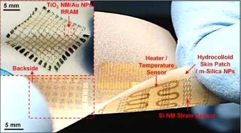 La structure du timbre épidermique. Il est parcouru de nanomembranes en silicium en forme de serpentin qui détectent les variations de résistance électrique (strain sensor). Le timbre lui-même est fait d’un substrat polymère (hydrocolloid skin patch) qui épousant les reliefs de la peau. Dans la vignette supérieure gauche, on distingue la mémoire de type RRAM composée de nanoparticules d’or (Au NP) prises entre deux nanomembranes d’oxyde de titane (TiO2 NM), le tout installé entre des électrodes d’aluminium. Le système de chauffage et le capteur de température (heater/temperature sensor) sont activés pour libérer la substance médicamenteuse qui est emprisonnée dans des nanoparticules poreuses de silice (m-silica NP). © Translational Flextronics Group, université nationale de Séoul