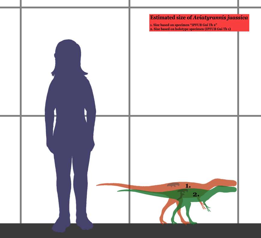 Aviatyrannis jurassica Aviatyrannis jurassica