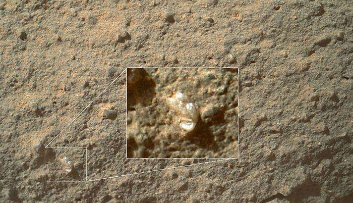 La « fleur » de Mars repérée par hasard sur une image de l'appareil photo Mahli et publiée sans traitement sur le site de la Nasa. Cette petite structure minérale n'a pas été étudiée. © Nasa, JPL-Caltech, Malin Space Science System