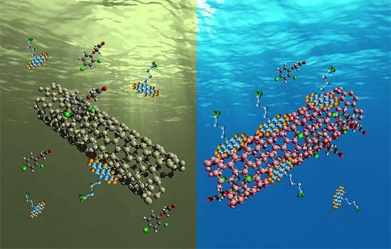 Les nanotubes de carbone à paroi unique semi-conducteurs se montrent plus efficaces en matière de filtration d’eau polluée que les nanotubes de carbone métalliques. © John-David Rocha, Reginald Rogers, Rochester Institute of Technology