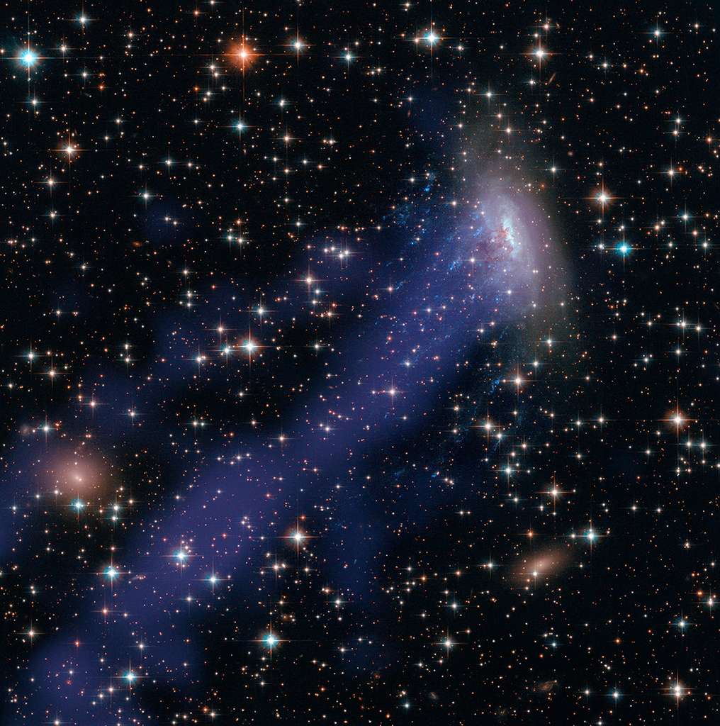 Image composite superposant le portrait acquis par la caméra WFC3 d'Hubble à celui collecté par Chandra, sensible au rayonnement X. Outre les larmes bleues de gaz ionisé par les grappes de jeunes étoiles, on distingue la double queue de gaz chauds qui s'étale à la traîne sur plus de 260.000 années-lumière. © Nasa, Esa, Hubble Heritage, STScI, Aura