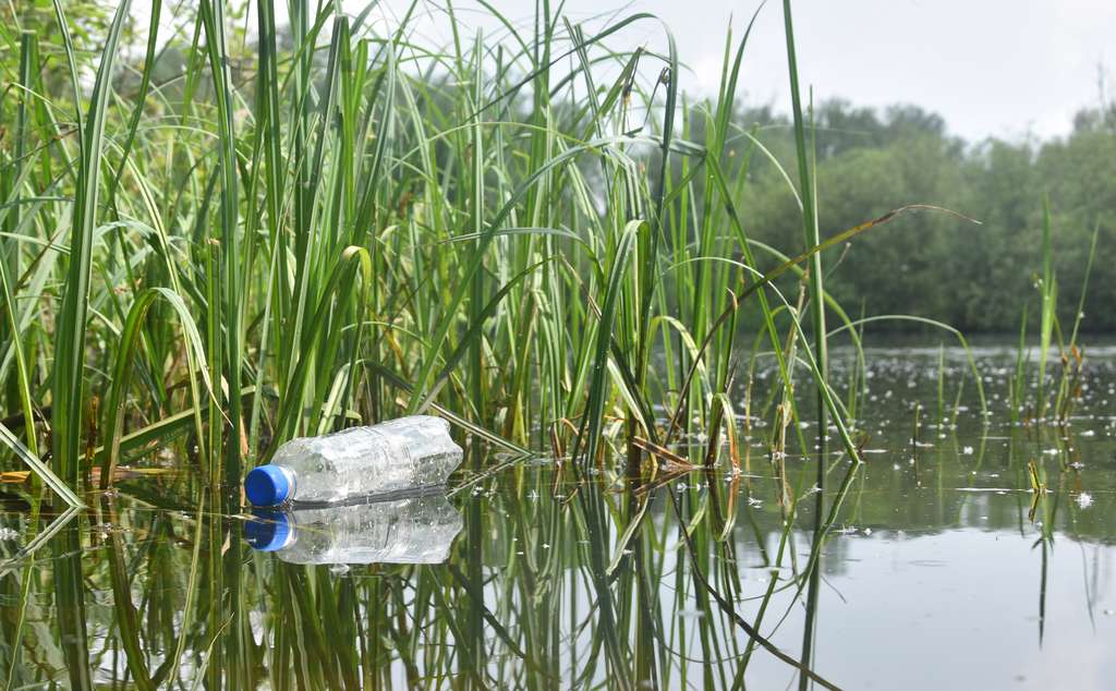 Une bouteille en plastique fabriquée à partir de matière végétale n’est pas forcément biodégradable pour autant. © Nimur, Fotolia