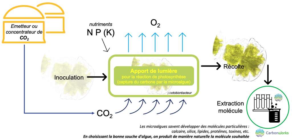 Le captage et la valorisation du dioxyde de carbone (CO2), comment ça marche ? © CarbonWorks