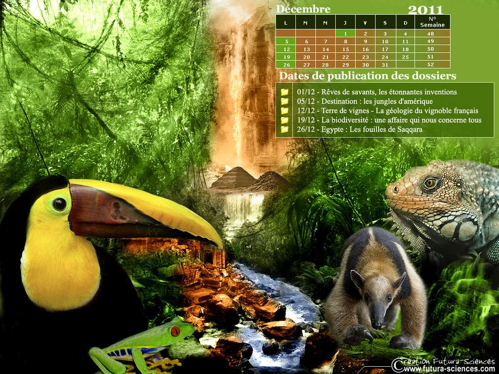 Calendrier Décembre 2011 Calendrier Décembre 2011