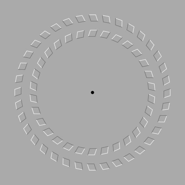 Les cercles rotatifs, une illusion de rotation