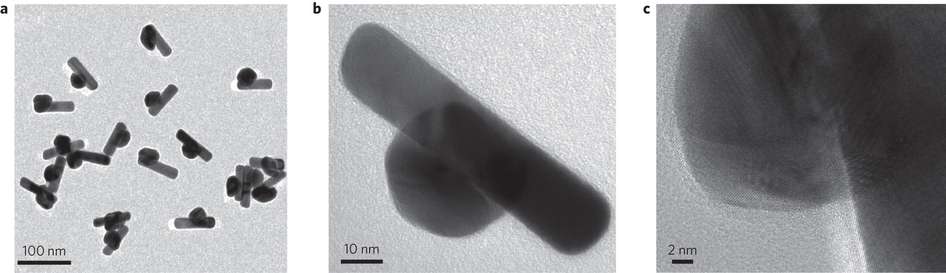 Pour obtenir un matériau presque parfaitement noir, les chercheurs de l’université King Abdullah ont fait croître des nanotiges d’or sur des nanophères d’or. Ces structures sont visibles sur ces images en microscopie électronique en transmission. © Nature Nanotechnology