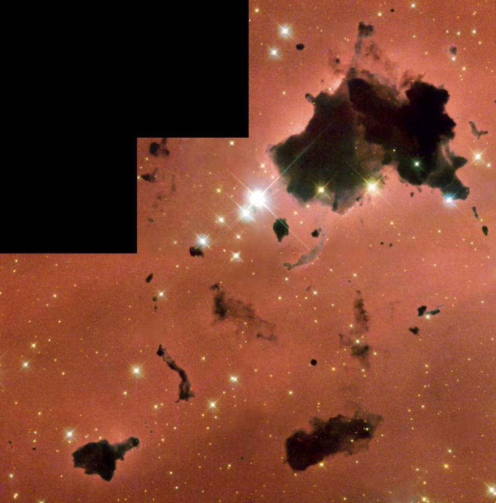 Les globules de Thackeray dans la nébuleuse IC 2944. © Nasa/Hubble